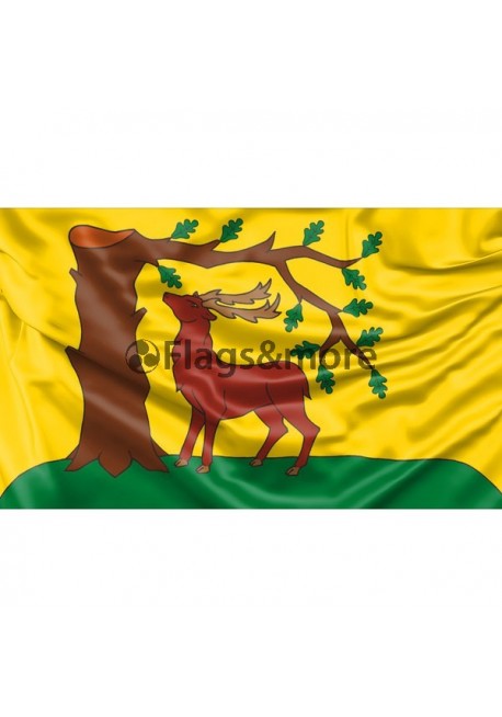 Berkshire County Flag