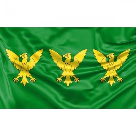 Caernarfonshire County Flag