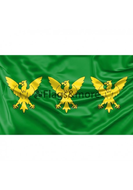 Caernarfonshire County Flag