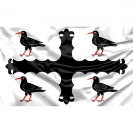 Flintshire County Flag