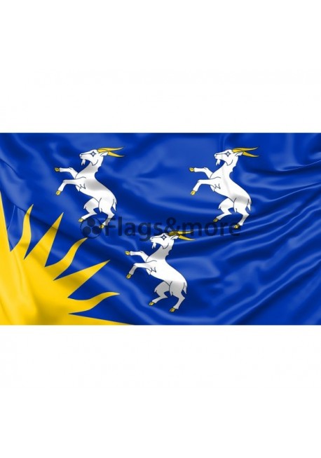 Merionethshire County Flag