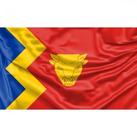 Birmingham Flag