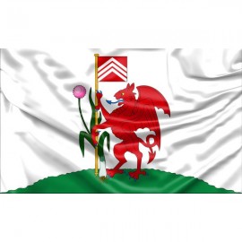 Cardiff Flag