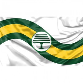 Caterham Flag