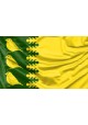 Finchfield Flag