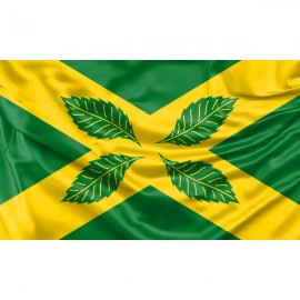 Four Elms Flag