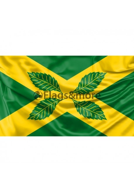 Four Elms Flag