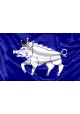 Kingswinford Flag