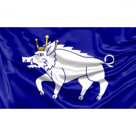 Kingswinford Flag