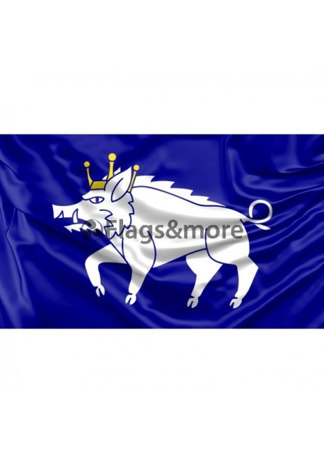 Kingswinford Flag