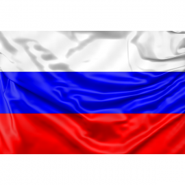 Russian Federation Flag