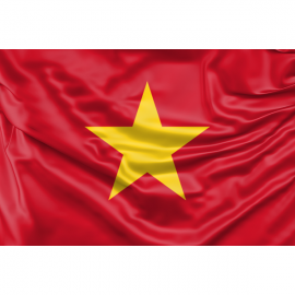 Vietnam Flag