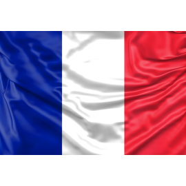 France Flag
