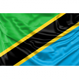 Tanzania Flag