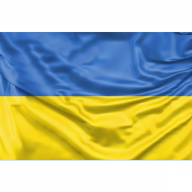 Ukraine Flag