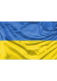 Ukraine Flag