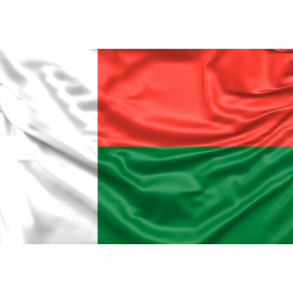 Madagascar Flag