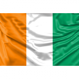 Ivory Coast Flag