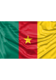 Cameroon Flag