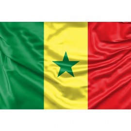 Senegal Flag