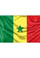 Senegal Flag