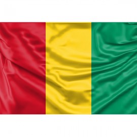 Guinea Flag