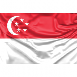 Singapore Flag