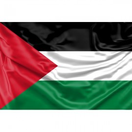 Palestine Flag