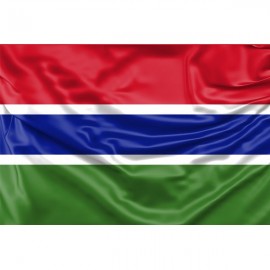 The Gambia Flag