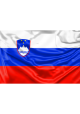 Slovenia Flag