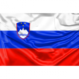 Slovenia Flag