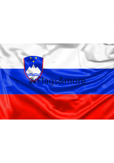 Slovenia Flag