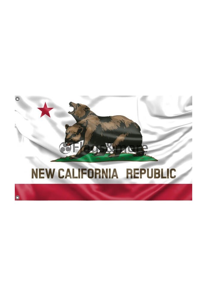 New California Republic Flag Unique Print. Hiqh quality flag material!