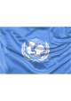 UNICEF Flag